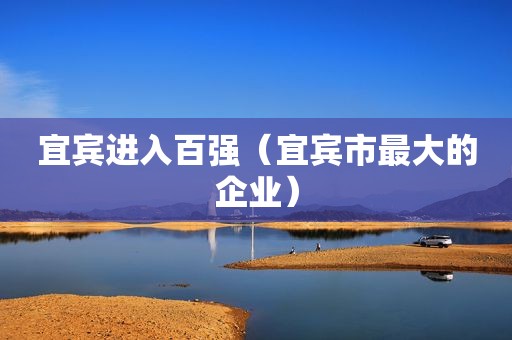 宜宾进入百强（宜宾市最大的企业）