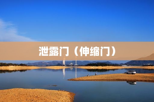 泄露门（伸缩门）