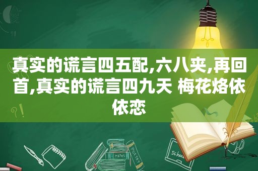 真实的谎言四五配,六八夹,再回首,真实的谎言四九天 梅花烙依依恋