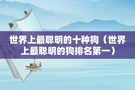 世界上最聪明的十种狗（世界上最聪明的狗排名第一）