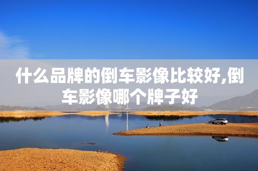 什么品牌的倒车影像比较好,倒车影像哪个牌子好