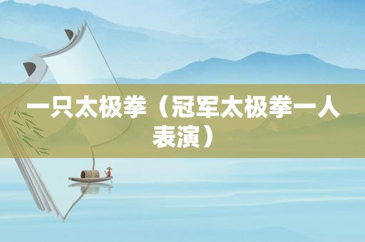 一只太极拳（冠军太极拳一人表演）