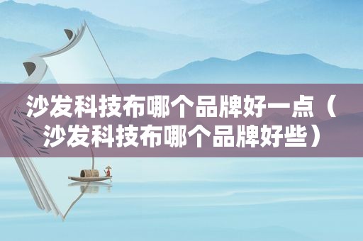 沙发科技布哪个品牌好一点（沙发科技布哪个品牌好些）