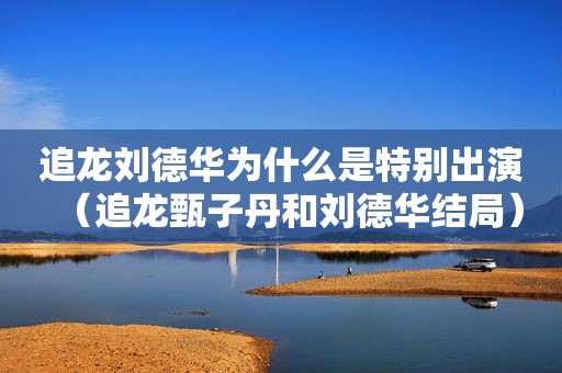 追龙刘德华为什么是特别出演（追龙甄子丹和刘德华结局）