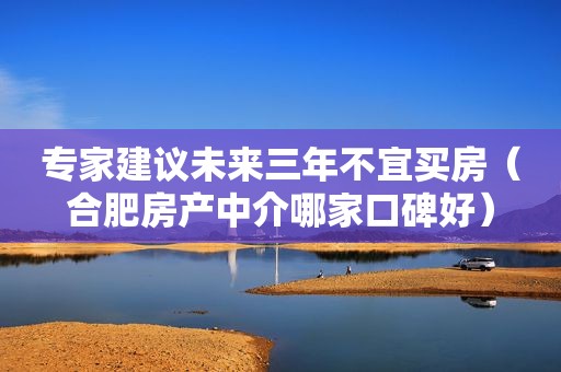 专家建议未来三年不宜买房（合肥房产中介哪家口碑好）