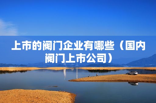 上市的阀门企业有哪些（国内阀门上市公司）