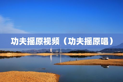 功夫摇原视频（功夫摇原唱）