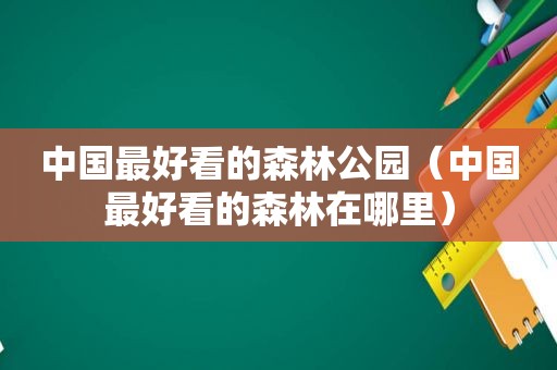 中国最好看的森林公园（中国最好看的森林在哪里）
