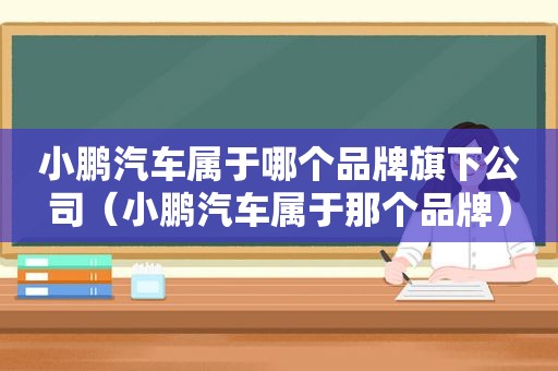 小鹏汽车属于哪个品牌旗下公司（小鹏汽车属于那个品牌）