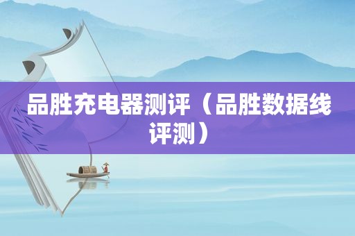 品胜充电器测评（品胜数据线评测）