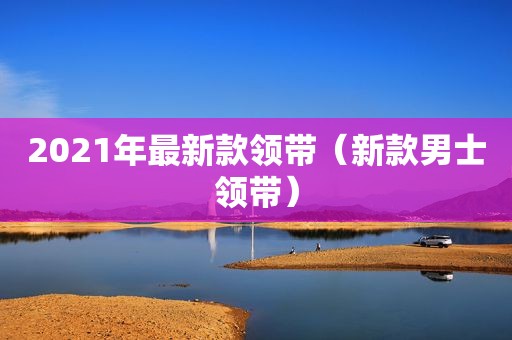 2021年最新款领带（新款男士领带）