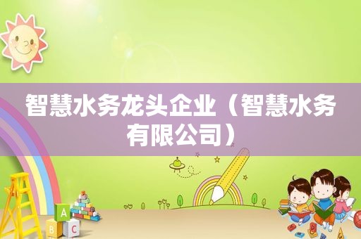 智慧水务龙头企业（智慧水务有限公司）