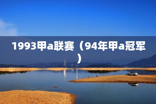 1993甲a联赛（94年甲a冠军）