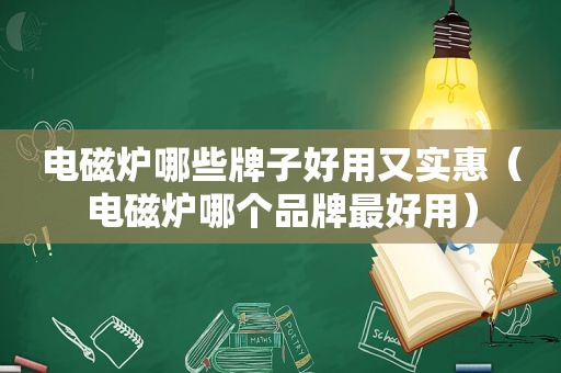 电磁炉哪些牌子好用又实惠（电磁炉哪个品牌最好用）