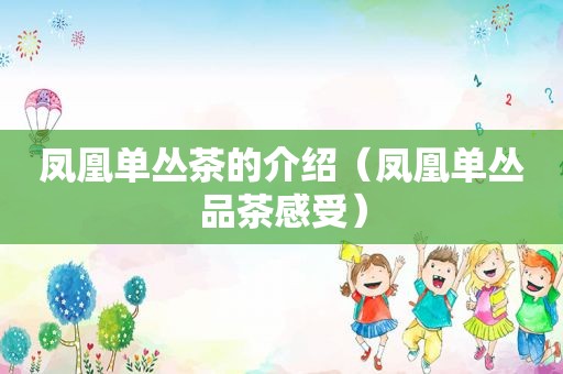 凤凰单丛茶的介绍（凤凰单丛品茶感受）