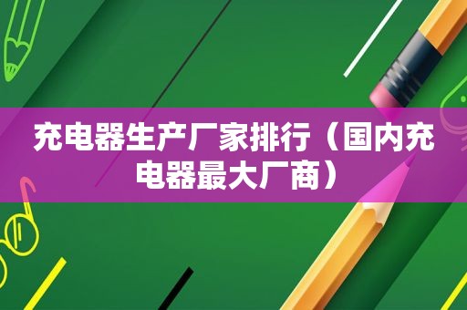 充电器生产厂家排行（国内充电器最大厂商）
