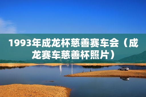 1993年成龙杯慈善赛车会（成龙赛车慈善杯照片）