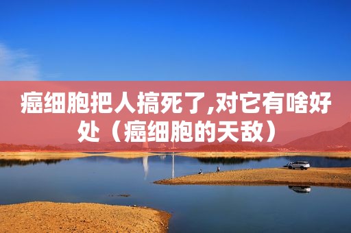 癌细胞把人搞死了,对它有啥好处（癌细胞的天敌）