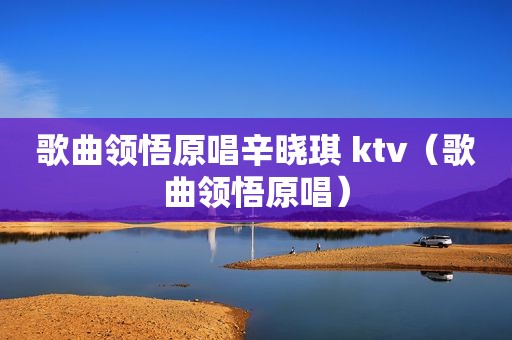 歌曲领悟原唱辛晓琪 ktv（歌曲领悟原唱）