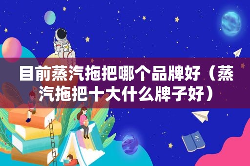 目前蒸汽拖把哪个品牌好（蒸汽拖把十大什么牌子好）