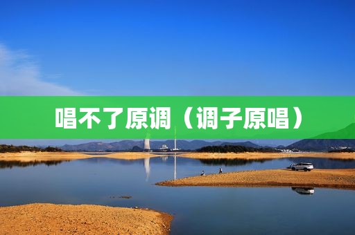 唱不了原调（调子原唱）