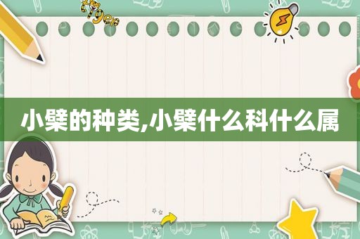 小檗的种类,小檗什么科什么属