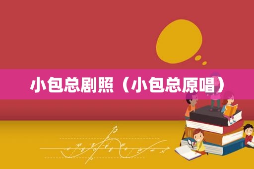 小包总剧照（小包总原唱）