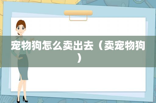 宠物狗怎么卖出去（卖宠物狗）
