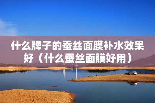什么牌子的蚕丝面膜补水效果好（什么蚕丝面膜好用）