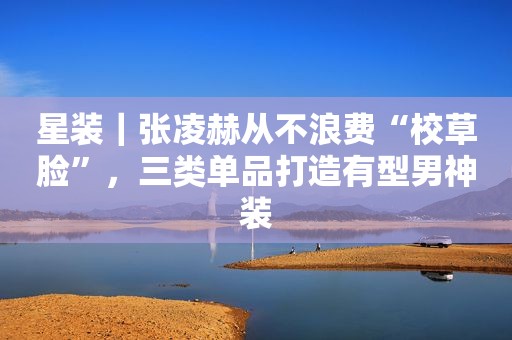 星装｜张凌赫从不浪费“校草脸”，三类单品打造有型男神装