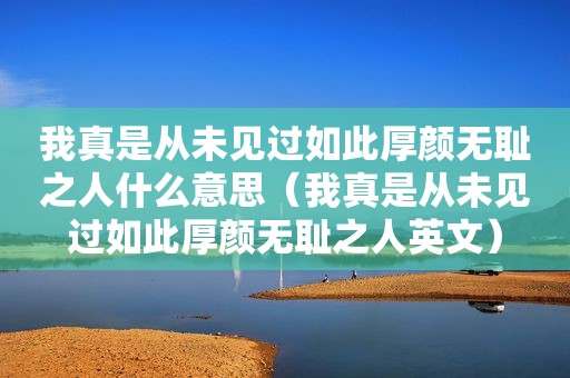 我真是从未见过如此厚颜 *** 之人什么意思（我真是从未见过如此厚颜 *** 之人英文）