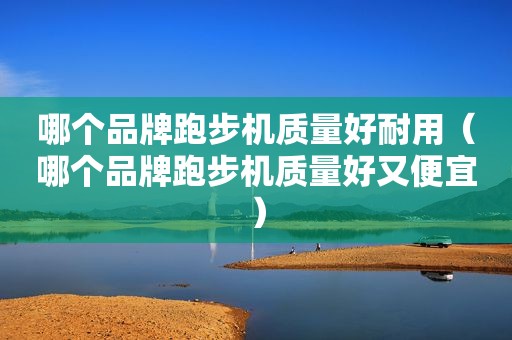 哪个品牌跑步机质量好耐用（哪个品牌跑步机质量好又便宜）