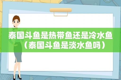 泰国斗鱼是热带鱼还是冷水鱼（泰国斗鱼是淡水鱼吗）