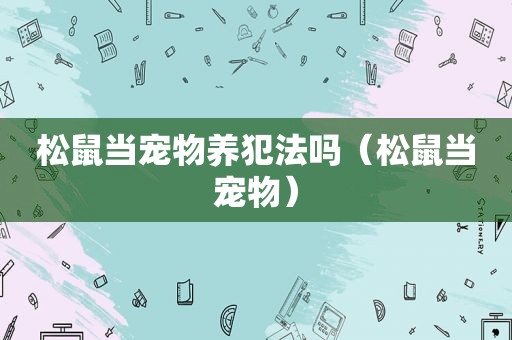 松鼠当宠物养犯法吗（松鼠当宠物）
