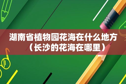 湖南省植物园花海在什么地方（长沙的花海在哪里）