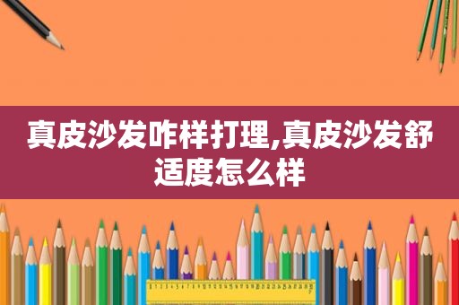 真皮沙发咋样打理,真皮沙发舒适度怎么样