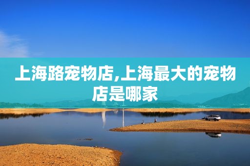 上海路宠物店,上海最大的宠物店是哪家