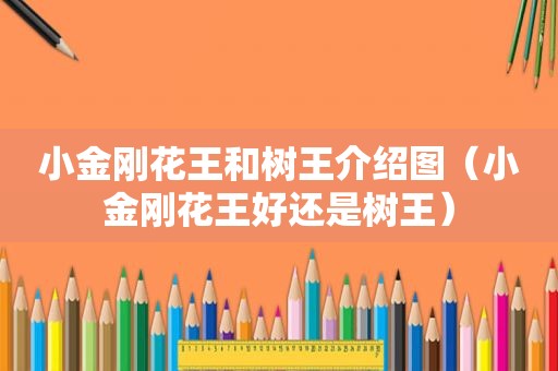小金刚花王和树王介绍图（小金刚花王好还是树王）