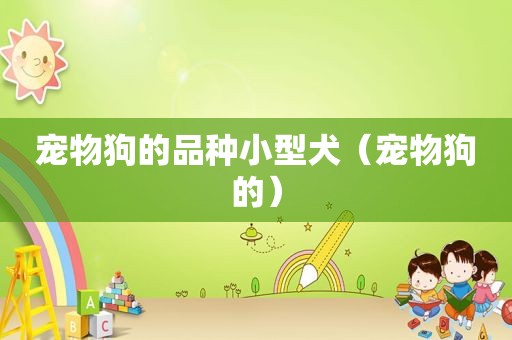 宠物狗的品种小型犬（宠物狗的）