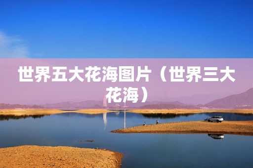 世界五大花海图片（世界三大花海）