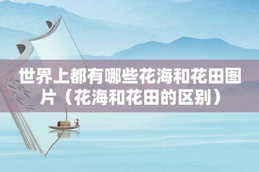 世界上都有哪些花海和花田图片（花海和花田的区别）