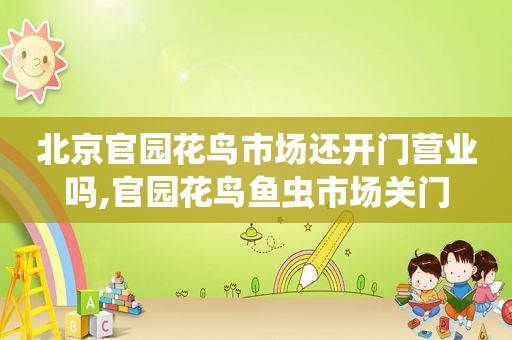 北京官园花鸟市场还开门营业吗,官园花鸟鱼虫市场关门