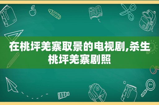 在桃坪羌寨取景的电视剧,杀生桃坪羌寨剧照