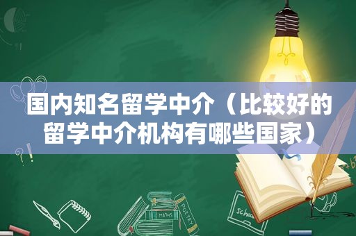 国内知名留学中介（比较好的留学中介机构有哪些国家）