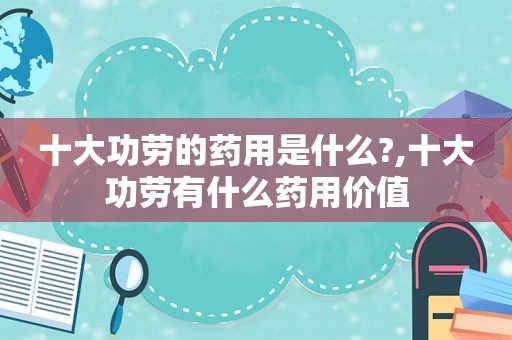 十大功劳的药用是什么?,十大功劳有什么药用价值