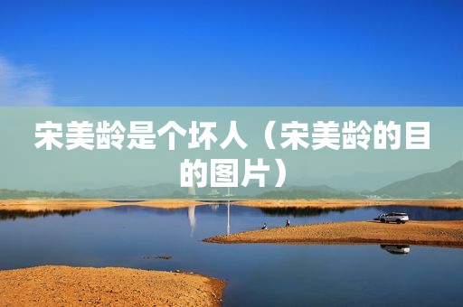 宋美龄是个坏人（宋美龄的目的图片）