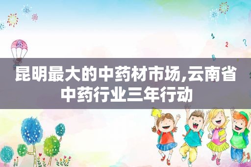 昆明最大的中药材市场,云南省中药行业三年行动