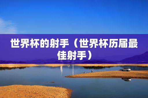 世界杯的射手（世界杯历届最佳射手）