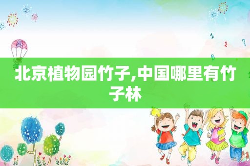 北京植物园竹子,中国哪里有竹子林