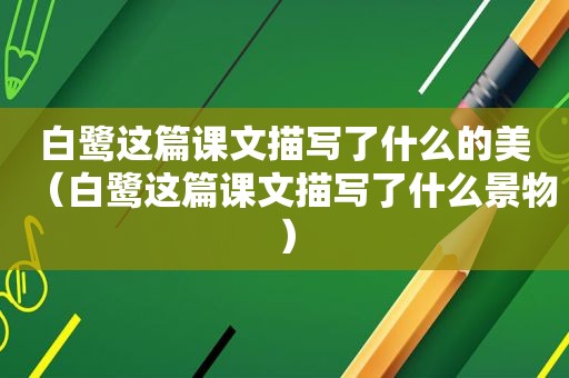 白鹭这篇课文描写了什么的美（白鹭这篇课文描写了什么景物）